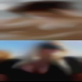 Fuck Saginaw